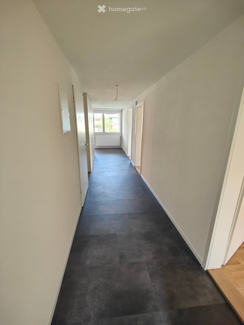 Empty hallway with light-colored walls, dark gray carpeted floor, and white doors on both sides. A window at the end provides natural light.