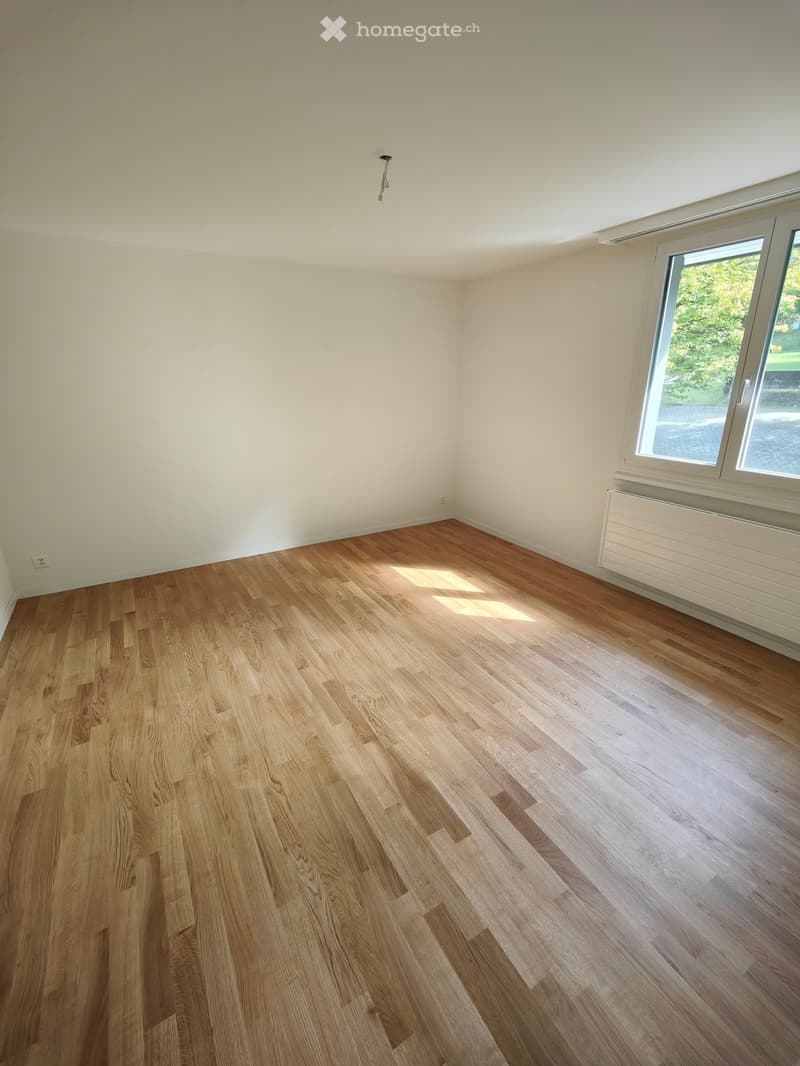 Empty room with light wooden flooring and white walls, featuring a large window with a view of greenery and a radiator below it.
