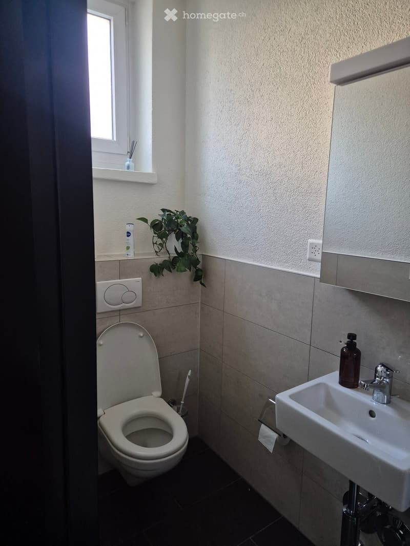 Bathroom. Modern bathroom with a toilet, sink, and small window. Includes a toothbrush holder, bottle, and small plant on the windowsill.