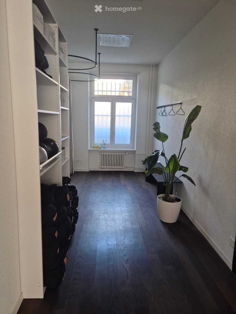 Corridor / Hallway. A long, narrow hallway with wooden flooring, white walls, and a large window at the far end. Features include a built-in shelving unit on the left, a potted plant on the right, and a hanging light fixture above.