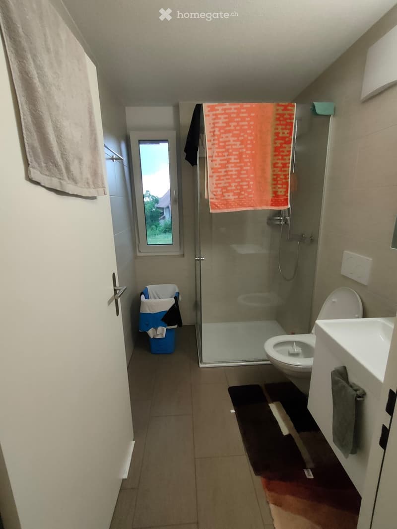 Modern bathroom with a toilet, sink, glass-enclosed shower, towels, and a small trash bin.