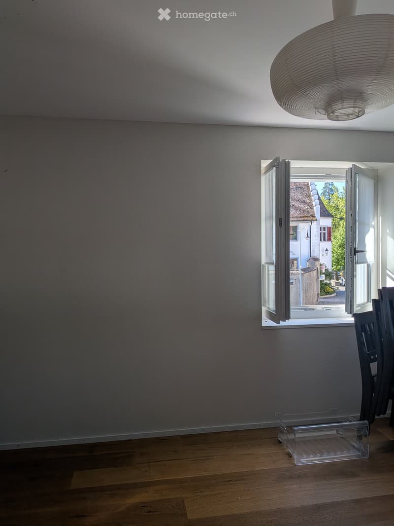 Empty room with wooden flooring, grey walls, large window with open shutters, and a modern hanging light fixture.