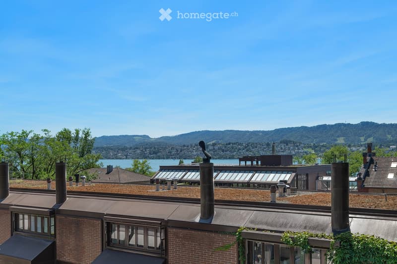 Roof view of a building with chimneys, solar panels, and a scenic backdrop of a lake and distant mountains.