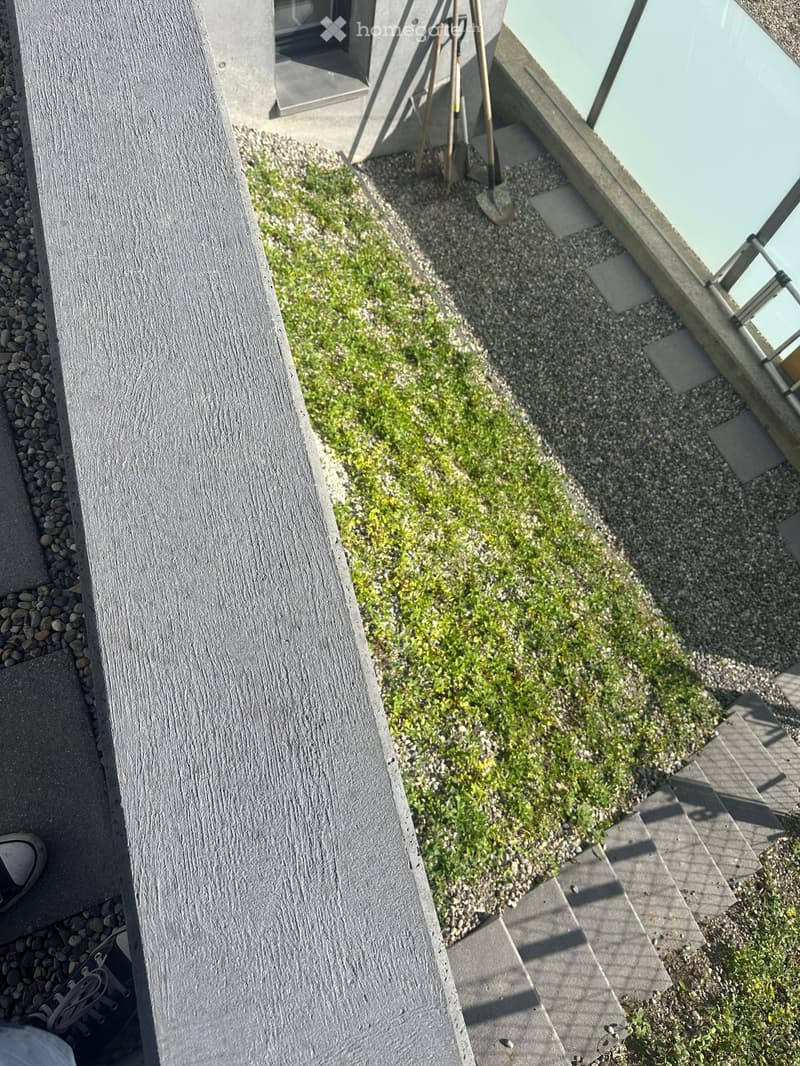 A small, modern garden area with a gravel pathway, green grass, and a concrete wall. A small staircase leads up to a higher level with a glass railing and a small pool visible in the background.
