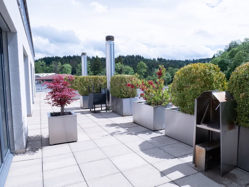 luxuriöse XXL-Attikawohnung mit Sauna & sehr viel Platz (>300 m2) (46)