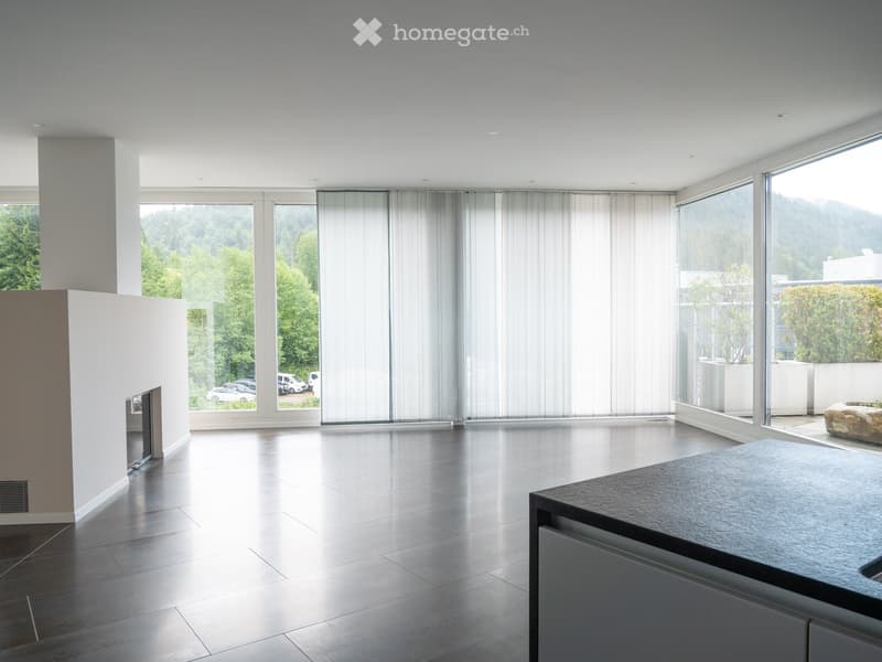 luxuriöse XXL-Attikawohnung mit Sauna & sehr viel Platz (>300 m2) (25)