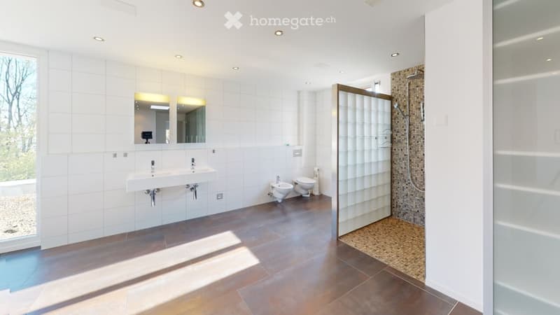 modern design, white tiles, double sink, separate shower, toilet, glass partition