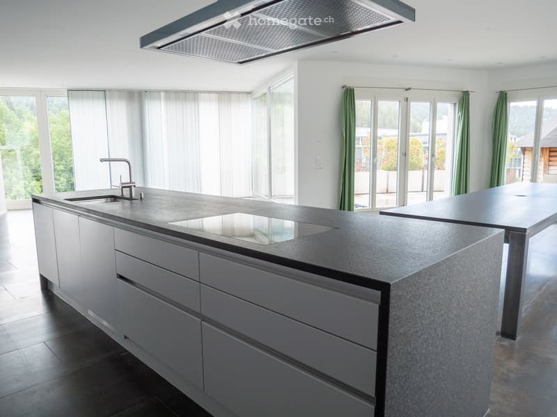 luxuriöse XXL-Attikawohnung mit Sauna & sehr viel Platz (>300 m2) (29)