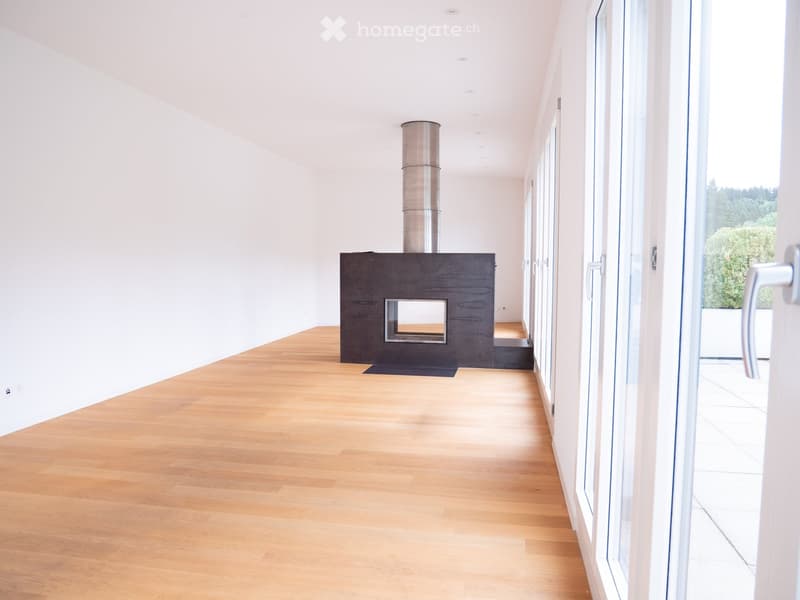 luxuriöse XXL-Attikawohnung mit Sauna & sehr viel Platz (>300 m2) (18)