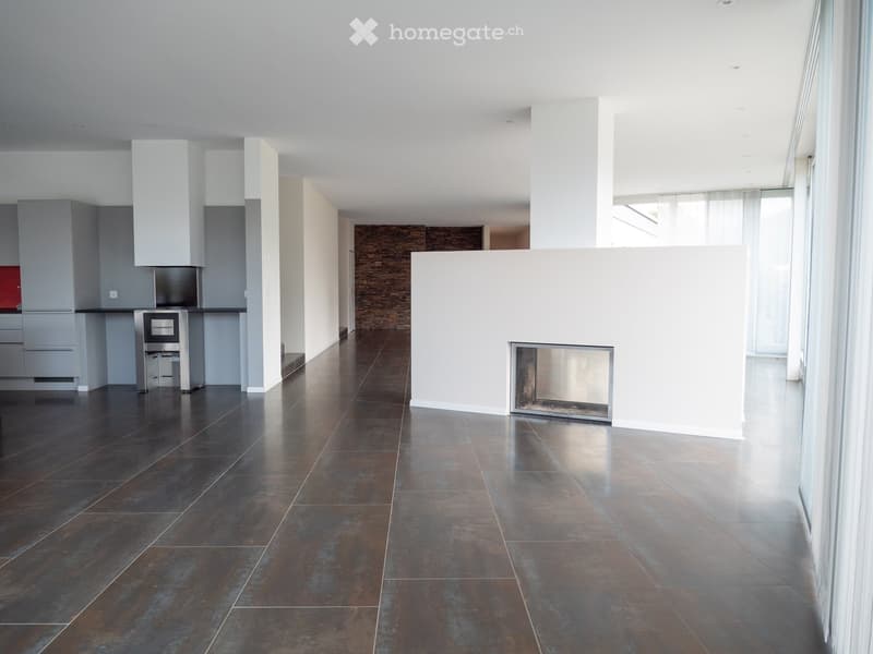 luxuriöse XXL-Attikawohnung mit Sauna & sehr viel Platz (>300 m2) (26)