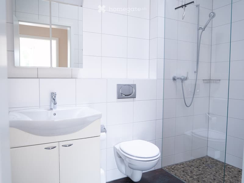 luxuriöse XXL-Attikawohnung mit Sauna & sehr viel Platz (>300 m2) (16)