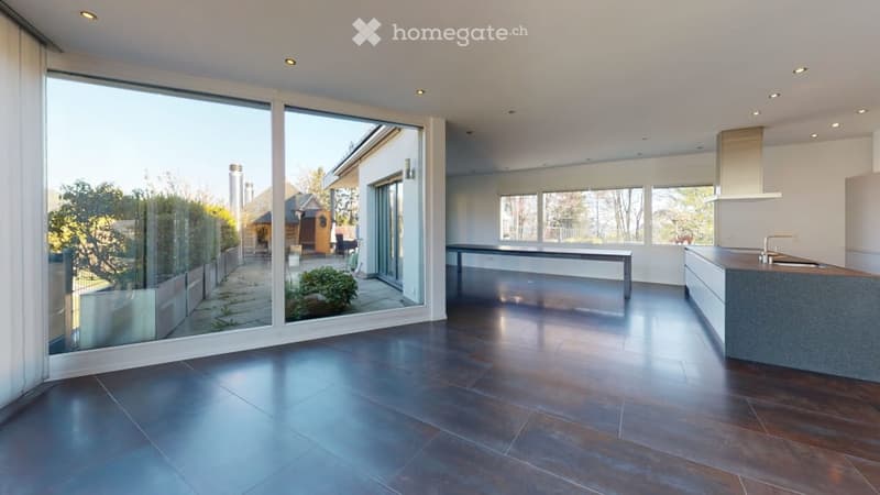 open space, hardwood floors, large windows, kitchen island, modern kitchen