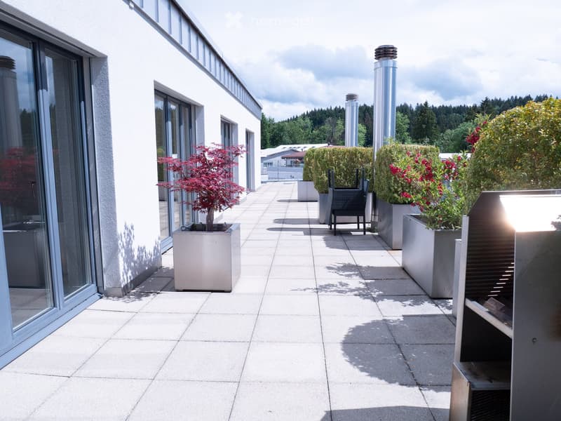luxuriöse XXL-Attikawohnung mit Sauna & sehr viel Platz (>300 m2) (47)