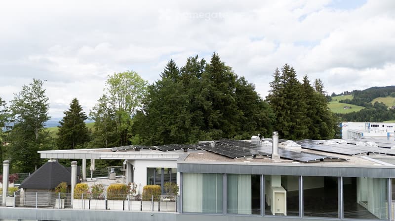 Modern building with large windows, solar panels on the roof, surrounded by trees and greenery.