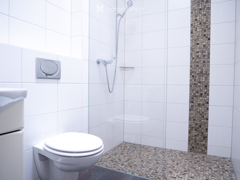luxuriöse XXL-Attikawohnung mit Sauna & sehr viel Platz (>300 m2) (15)