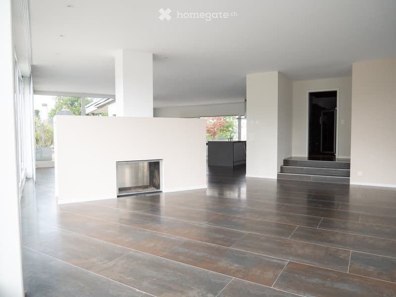 luxuriöse XXL-Attikawohnung mit Sauna & sehr viel Platz (>300 m2) (24)