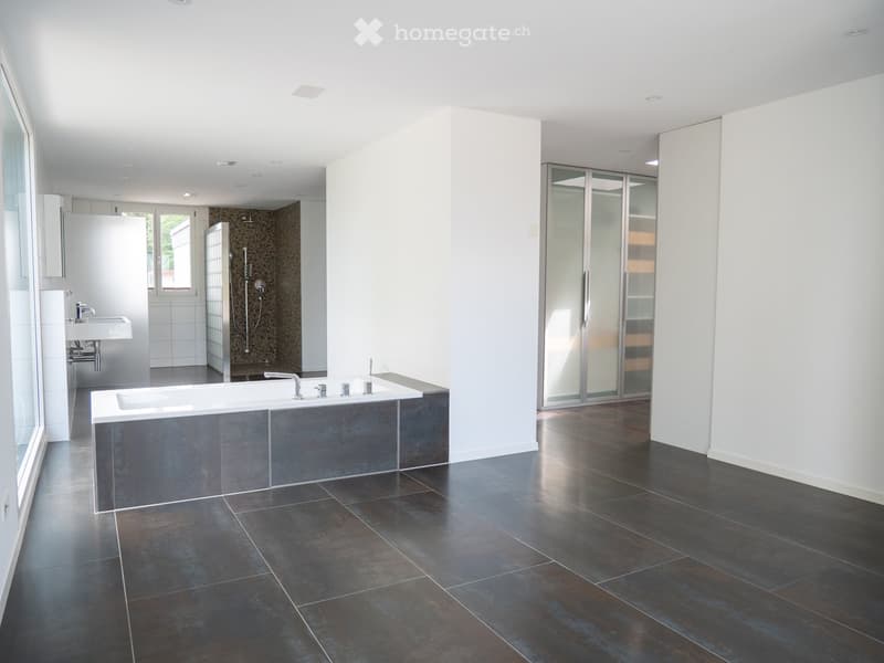 luxuriöse XXL-Attikawohnung mit Sauna & sehr viel Platz (>300 m2) (44)