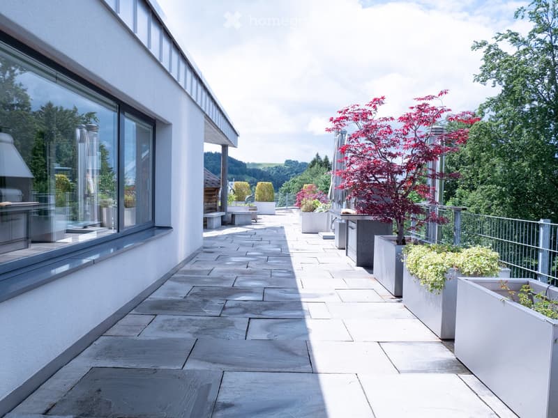 luxuriöse XXL-Attikawohnung mit Sauna & sehr viel Platz (>300 m2) (57)