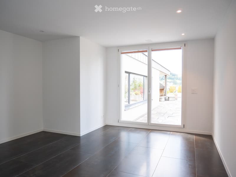 luxuriöse XXL-Attikawohnung mit Sauna & sehr viel Platz (>300 m2) (43)