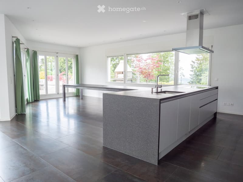 luxuriöse XXL-Attikawohnung mit Sauna & sehr viel Platz (>300 m2) (28)