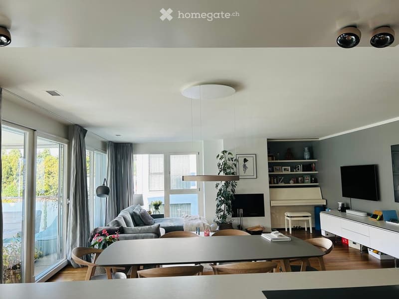 Modern living room with large windows, grey sofa, dining table, chairs, TV, plant, and cabinet.