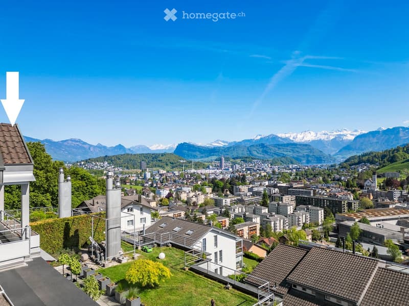 A panoramic view of a cityscape with a lush green garden in the foreground, featuring potted plants and a small car, with distant snow-capped mountains visible.