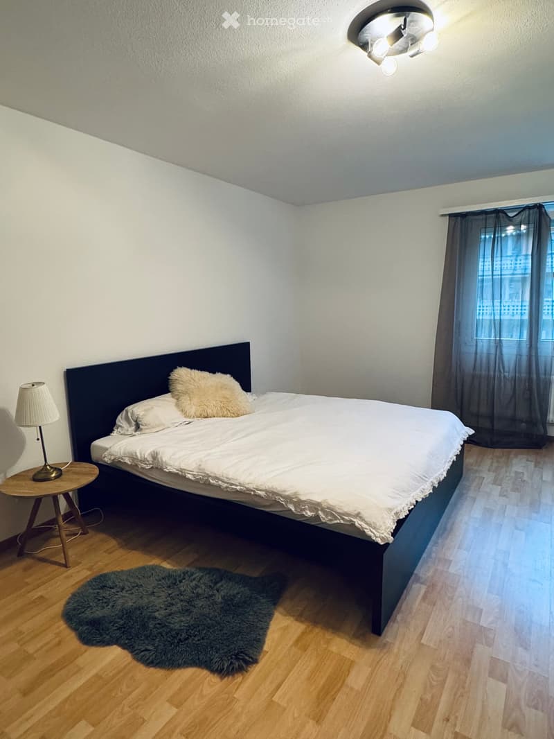 A modern bedroom with a large bed, nightstand, lamp, and a fluffy rug on the wooden floor.