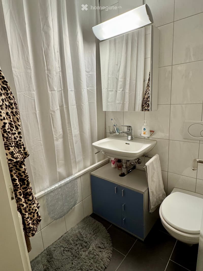 Modern bathroom with a white sink, mirror, blue cabinet, toilet, and a fluffy grey rug on the floor. A leopard-print robe hangs on the side.