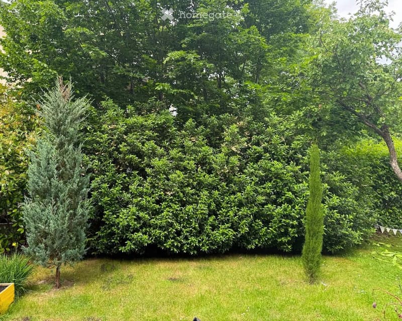 Well-maintained garden with a neatly trimmed hedge, several trees, and a grassy lawn.