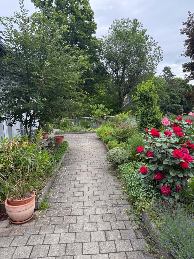 Garden with a paved pathway, surrounded by various plants, flowers, and trees. Potted plants are placed along the edges, and there is a small seating area with a table and chairs to the left.