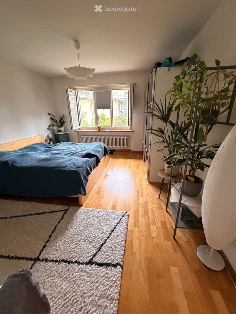 Bright bedroom with wooden flooring, a bed with blue bedding, a large rug, a hanging plant, and a shelf with additional plants and items.