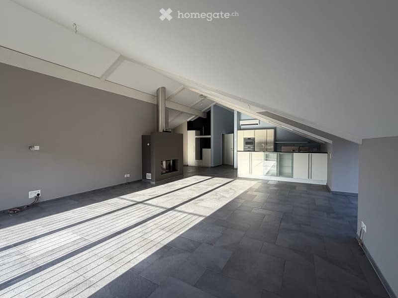 Open-plan living and kitchen area with a fireplace, modern kitchen cabinets, and built-in appliances.