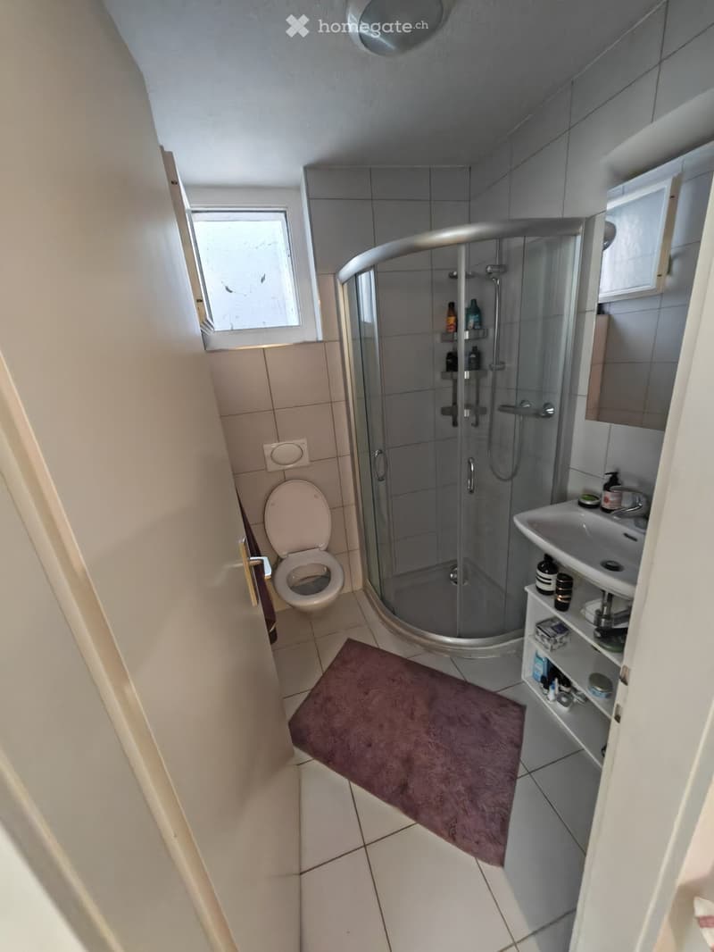 Modern bathroom with a glass-enclosed shower, toilet, sink, and a small cabinet with toiletries. A purple towel is placed on the floor.