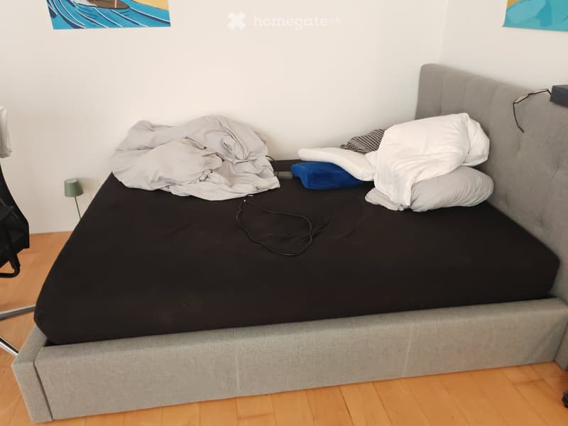 A bedroom with a single bed, grey headboard, black duvet, white pillows, and a small bedside lamp.