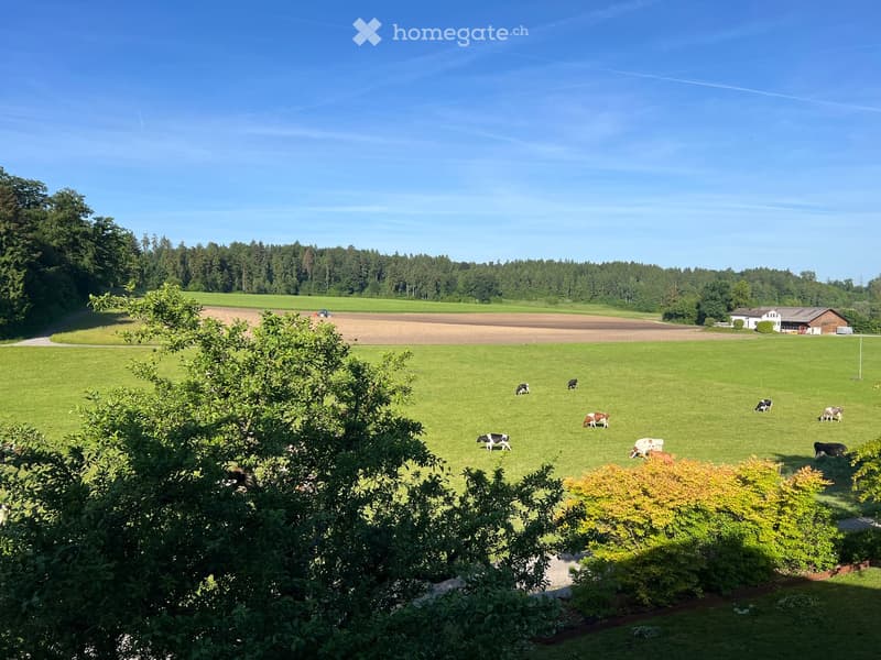 A wide green field with cows grazing, surrounded by trees and a small farm building in the background.