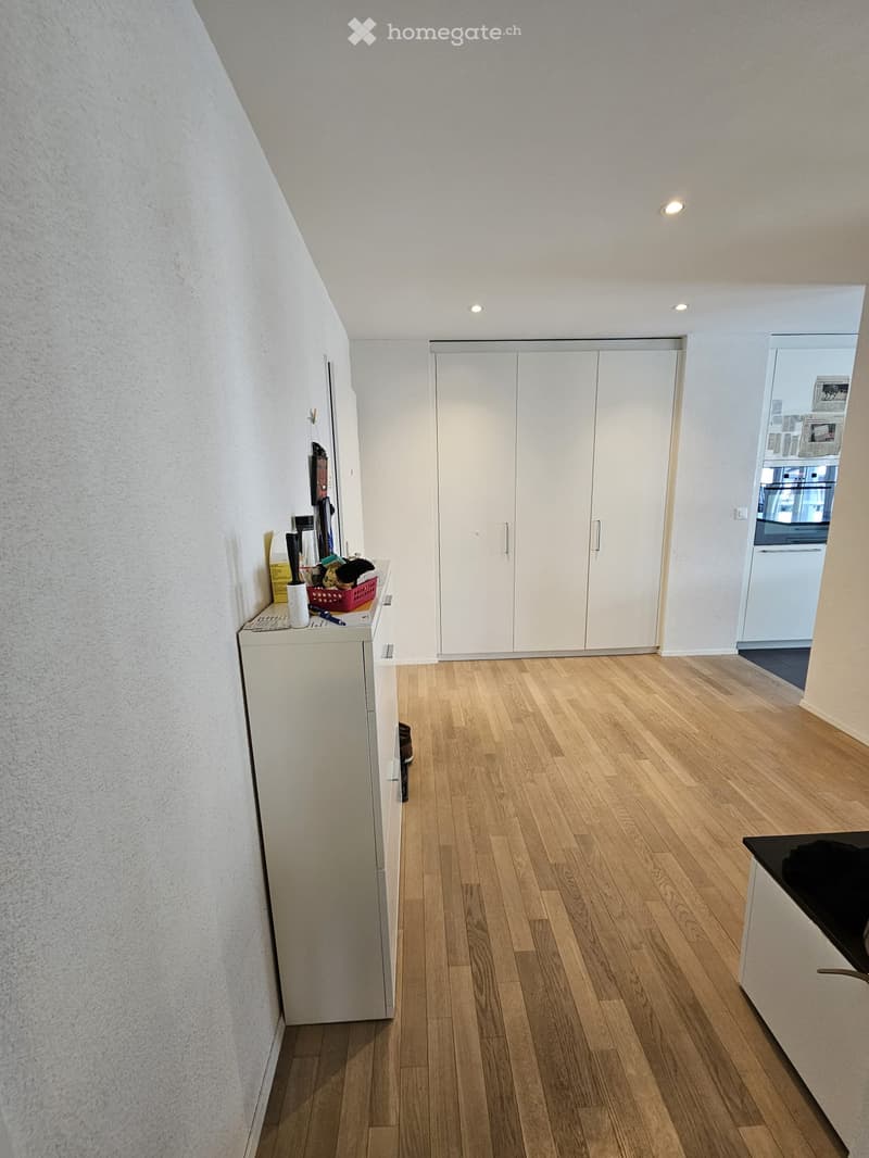 Bright hallway with wooden flooring, white walls, built-in closet, and small storage area with cleaning supplies. The hallway leads to a kitchen area with a black countertop and a white cabinet.