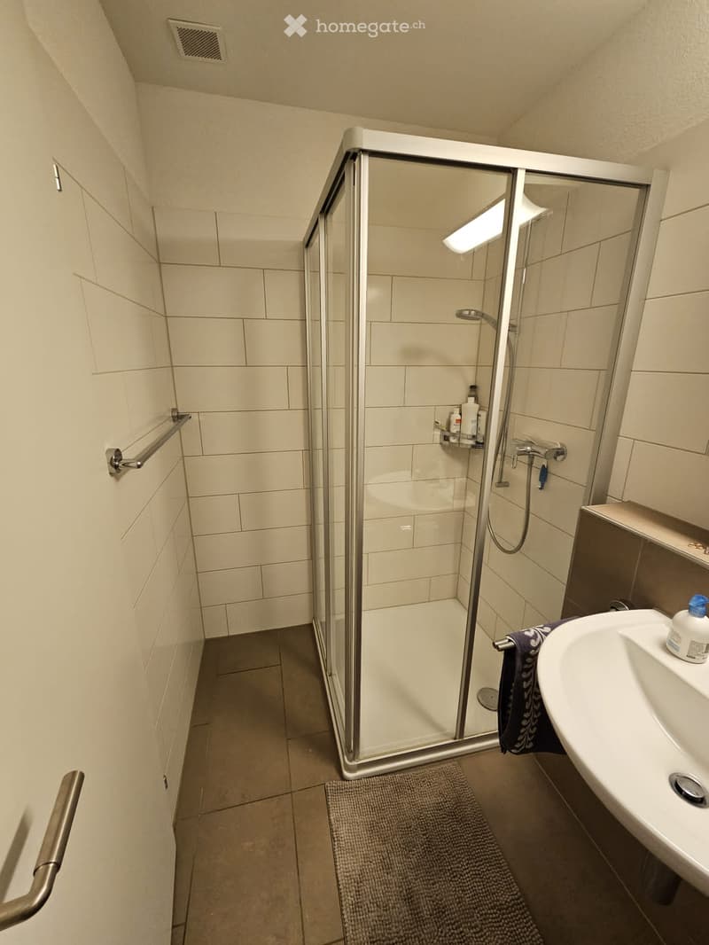 Modern bathroom with a glass-enclosed shower, a white sink, a towel, and a bath mat on the floor.