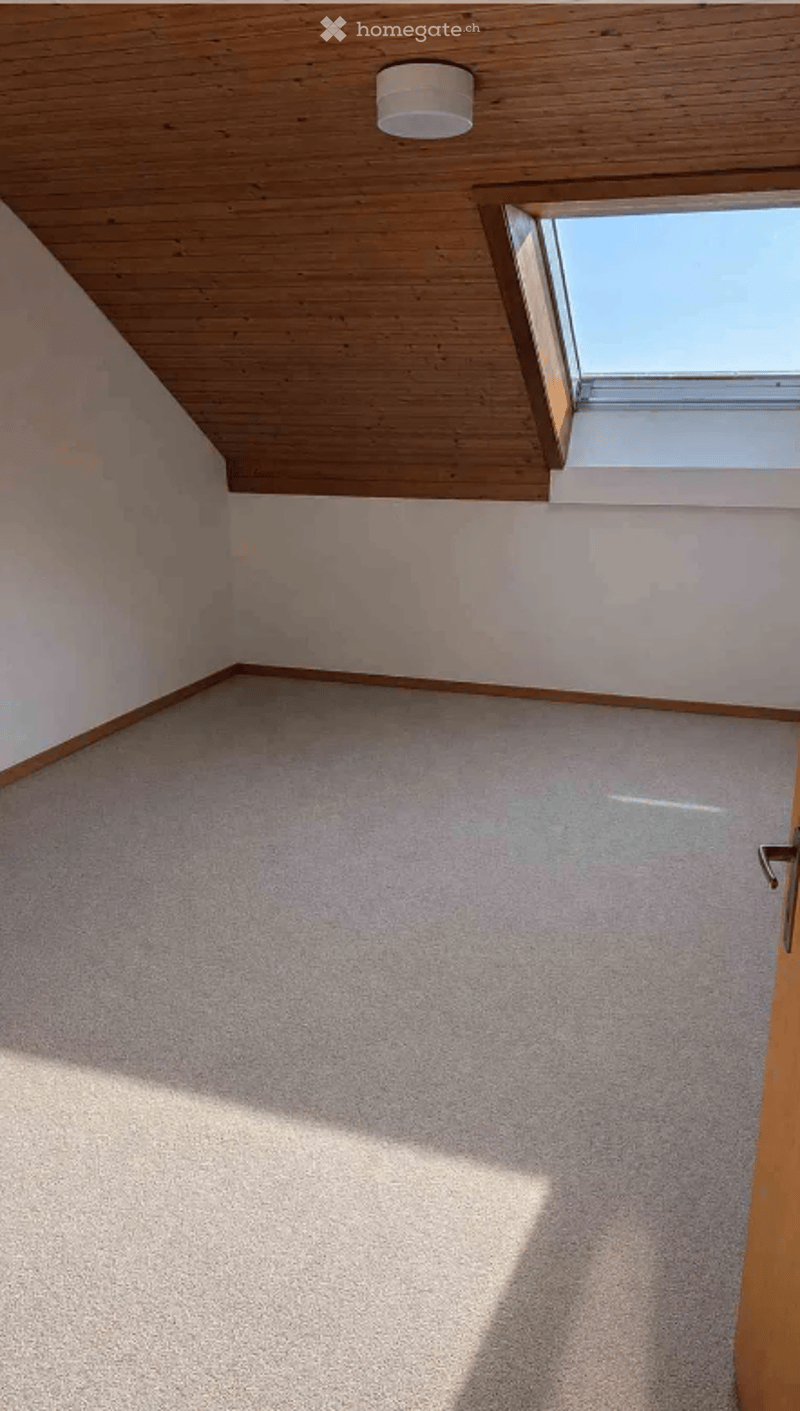 Empty room with wooden ceiling, white walls, carpeted floor, and a skylight window allowing natural light.