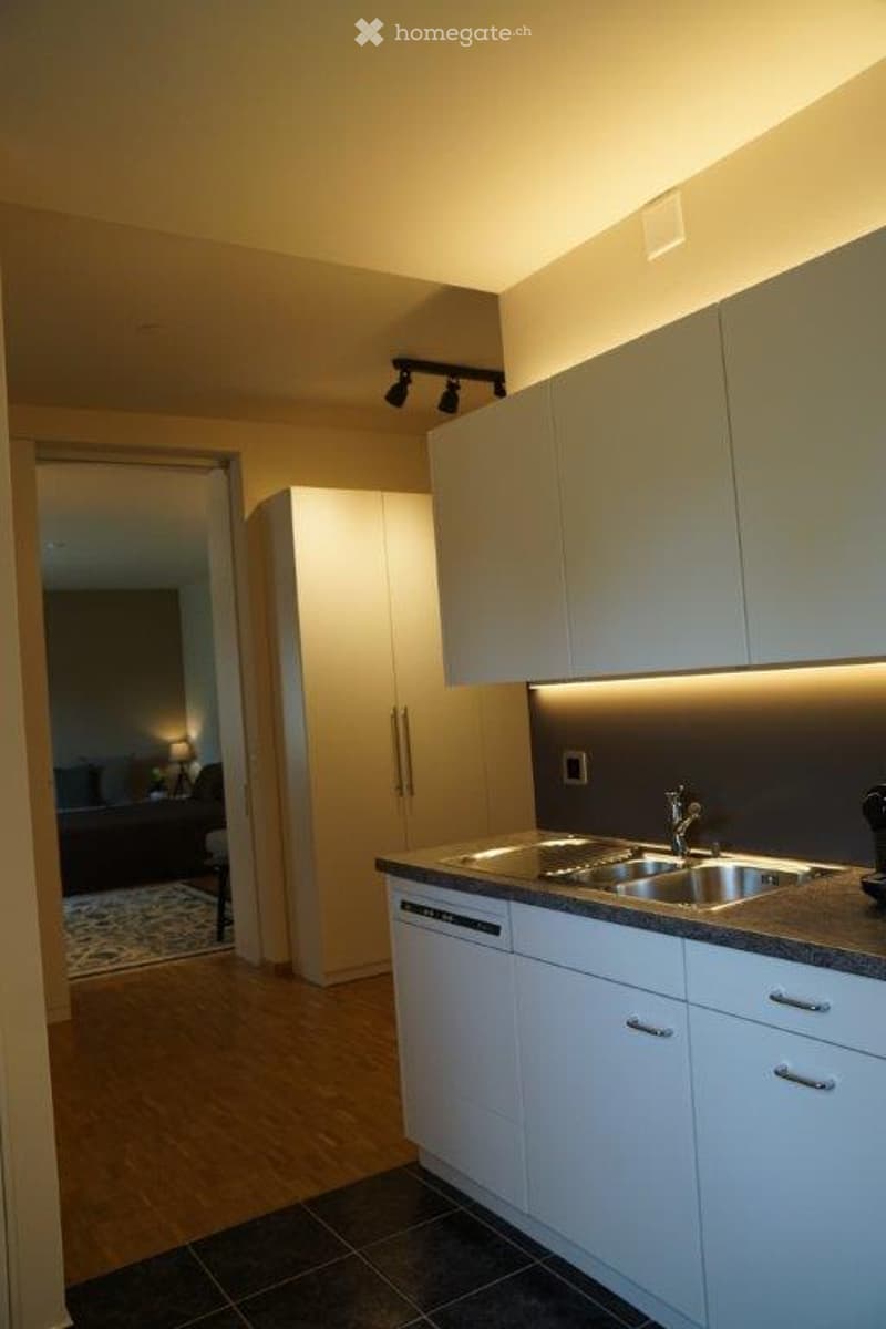 Modern kitchen with white cabinets, stainless steel sink, dishwasher, and built-in lighting. The floor is wooden, and the walls are painted in a warm tone. A hallway leads to another room with visible furniture.