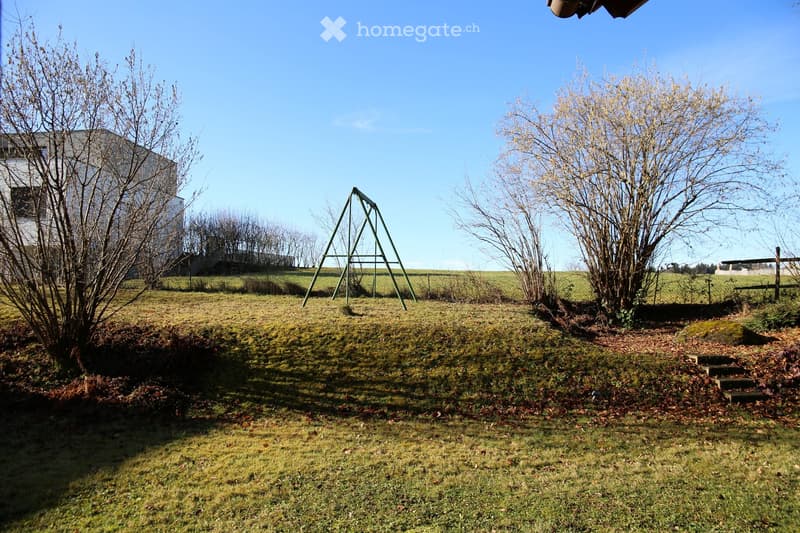 A grassy yard with a swing set, bare trees, and a fence surrounding the area.