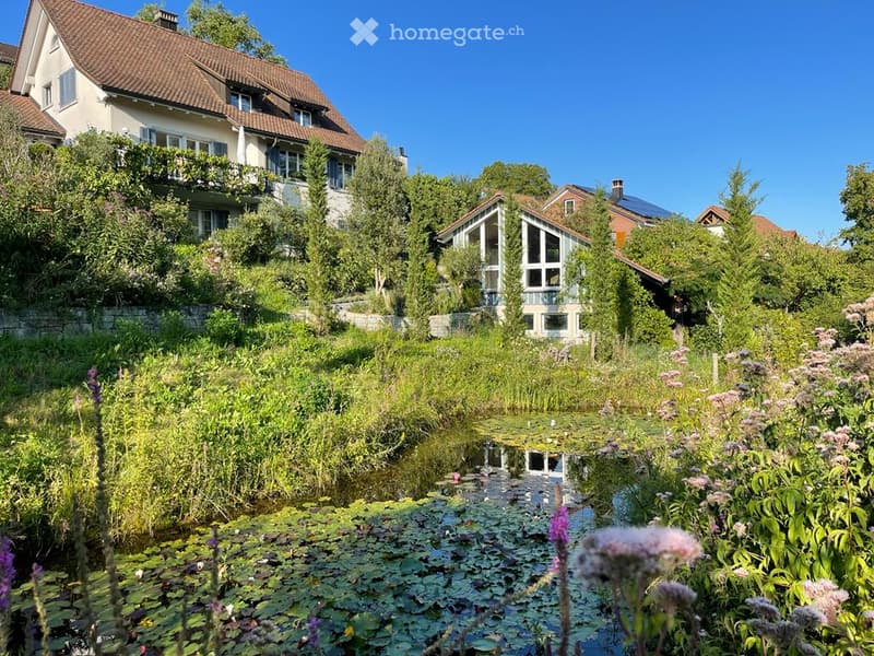 A lush garden with a pond, surrounded by tall trees and flowering plants, with several houses visible in the background.