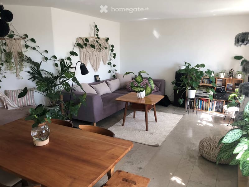 Living room with a purple sofa, wooden coffee table, dining table, chairs, bookshelf, floor lamp, and decorative plants.