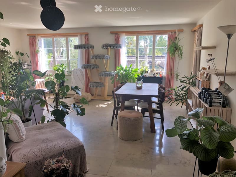 Bright living room with large windows, a sofa, a dining table with chairs, a round stool, a cat tree, and several potted plants.