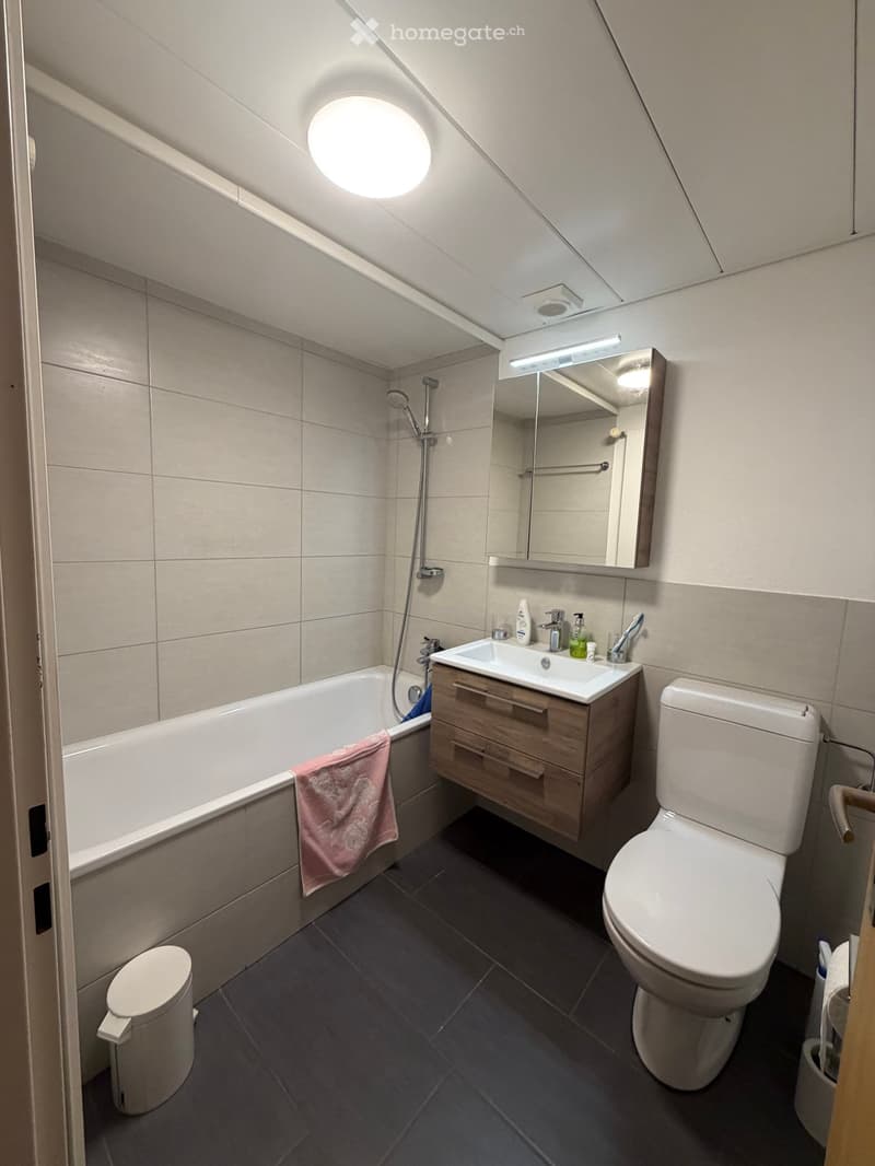 Modern bathroom with a bathtub, sink, toilet, and mirror. Features a wooden vanity cabinet, a round skylight, and a pink towel on the edge of the tub.