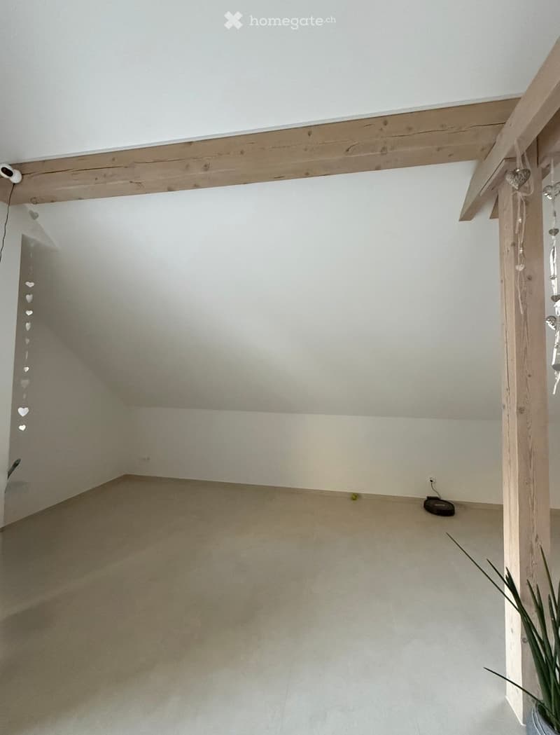 Empty room with light-colored walls, wooden ceiling beams, and a small potted plant in the corner.