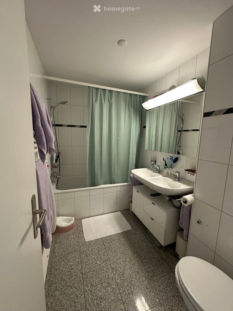Modern bathroom with a bathtub, double sink, toilet, and a shower area with a curtain. Includes a towel, a bathroom cabinet, and a mirror with lighting.
