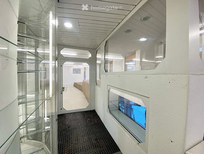 Modern hallway with glass walls, carpeted floor, and recessed lighting. Features a door leading to another room and a visible interior space beyond.