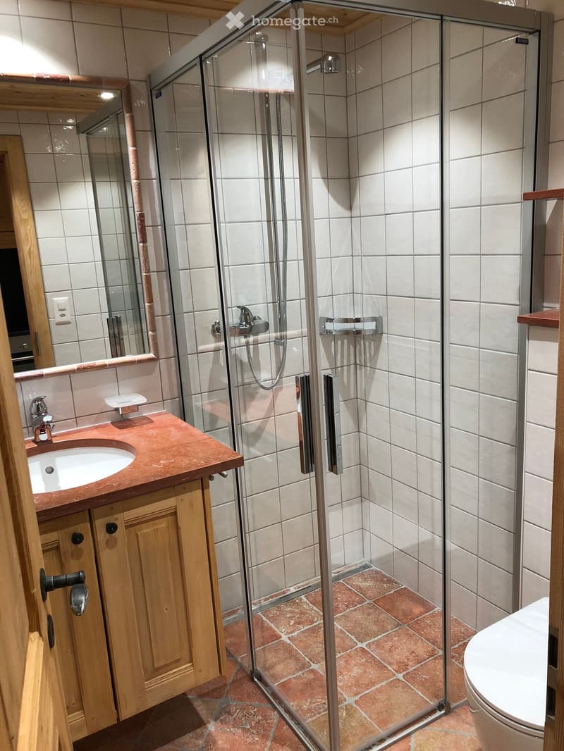 Modern bathroom with a glass-enclosed shower, a wooden vanity with a sink, and a toilet. The shower features a handheld sprayer and a fixed showerhead. The walls are tiled in light gray, and the floor is covered with terracotta tiles.