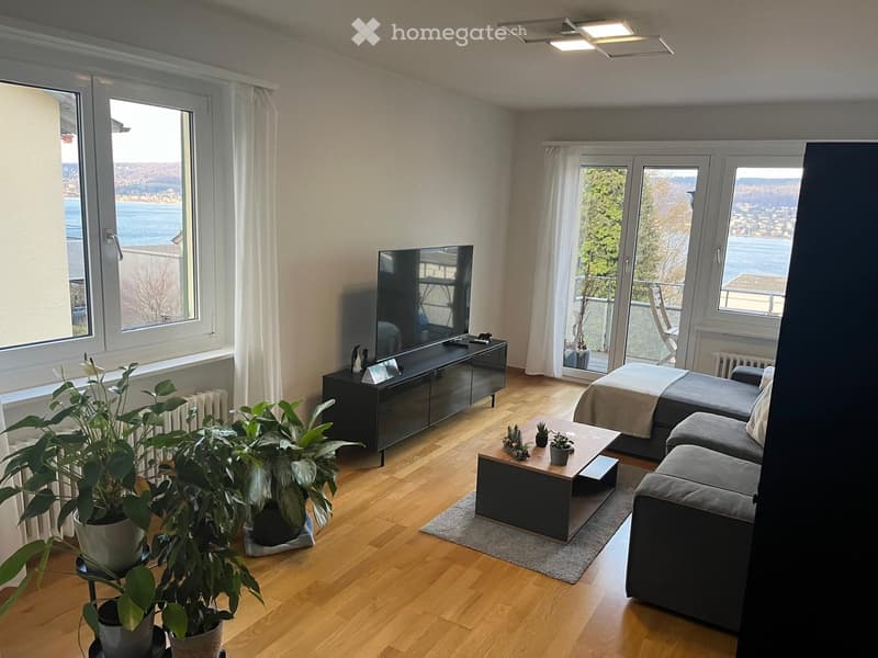 Modern living room with wooden flooring, large windows offering a scenic view, a grey sofa, a coffee table with small plants, a television on a stand, and several potted plants near the window.