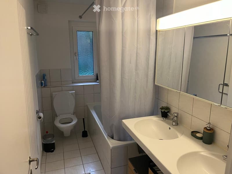 Modern bathroom with a toilet, bathtub, sink, mirror, and small plant on the sink counter.
